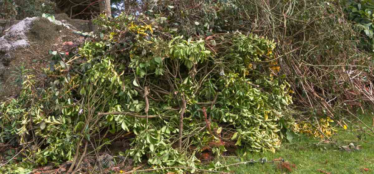 Retirada de desechos de jardín